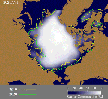 Animation of predicted Arctic sea ice extent from the July 1 to the September 20.