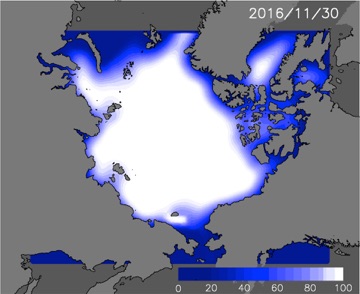 11月30日の予測海氷分布
