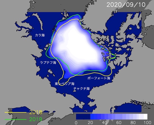 今年9月10日の海氷分布予測図。色は海氷密接度単位は%